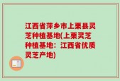 江西省萍乡市上栗县灵芝种植基地(上栗灵芝种植基地：江西省优质灵芝产地)