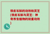 铁皮石斛的功效和灵芝(铁皮石斛与灵芝：神奇养生植物的双重功效)