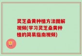 灵芝桑黄种植方法图解视频(学习灵芝桑黄种植的简易指南视频)