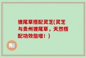 狸尾草搭配灵芝(灵芝与贵州狸尾草，天然搭配功效倍增！)