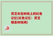 灵芝长在树枝上的红色记忆(红色记忆：灵芝栖息树枝间)