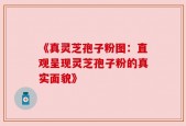 《真灵芝孢子粉图：直观呈现灵芝孢子粉的真实面貌》