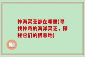 神海灵芝都在哪里(寻找神奇的海洋灵芝，探秘它们的栖息地)