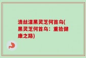 清丝漾黑灵芝何首乌(黑灵芝何首乌：重拾健康之路)