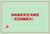 知母黄芪灵芝(母黄灵：灵芝的新配方)