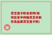 灵芝孢子粉自家种(如何在家中种植灵芝并制作高品质灵芝孢子粉)
