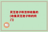 灵芝孢子粉怎样收集的(收集灵芝孢子粉的窍门)