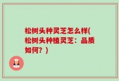 松树头种灵芝怎么样(松树头种植灵芝：品质如何？)