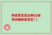 树舌灵芝怎么辨认(如何识别树舌灵芝？)