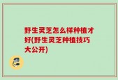 野生灵芝怎么样种植才好(野生灵芝种植技巧大公开)