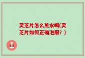 灵芝片怎么煎水喝(灵芝片如何正确泡服？)