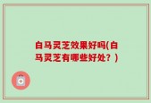 白马灵芝效果好吗(白马灵芝有哪些好处？)