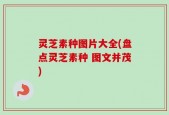 灵芝素种图片大全(盘点灵芝素种 图文并茂)