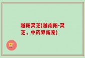 越阳灵芝(越南阳-灵芝，中药界新宠)