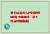 灵芝幼苗怎么种的视频教程(视频教程：灵芝幼苗种植指南)