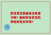 野生灵芝表面有没有孢子粉？解析野生灵芝的特征和生长环境？