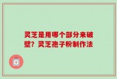灵芝是用哪个部分来破壁？灵芝孢子粉制作法
