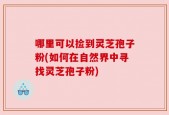 哪里可以捡到灵芝孢子粉(如何在自然界中寻找灵芝孢子粉)