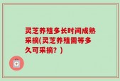 灵芝养殖多长时间成熟采摘(灵芝养殖需等多久可采摘？)