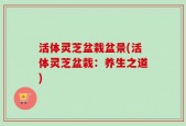 活体灵芝盆栽盆景(活体灵芝盆栽：养生之道)