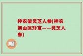 神农架灵芝人参(神农架山区珍宝——灵芝人参)