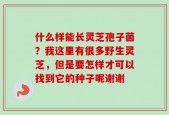 什么样能长灵芝孢子菌？我这里有很多野生灵芝，但是要怎样才可以找到它的种子呢谢谢