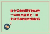 田七洋参和灵芝的功效一样吗(比肩灵芝？田七和洋参的功效相似吗)