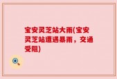 宝安灵芝站大雨(宝安灵芝站遭遇暴雨，交通受阻)