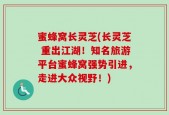 蜜蜂窝长灵芝(长灵芝 重出江湖！知名旅游平台蜜蜂窝强势引进，走进大众视野！)