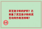 灵芝孢子粉的护肝？已采集了灵芝孢子粉的灵芝功效作用怎样呢？