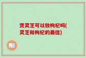 煲灵芝可以放枸杞吗(灵芝和枸杞的最佳)