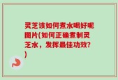 灵芝该如何煮水喝好呢图片(如何正确煮制灵芝水，发挥最佳功效？)