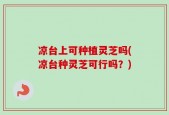 凉台上可种植灵芝吗(凉台种灵芝可行吗？)