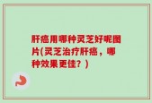 肝癌用哪种灵芝好呢图片(灵芝治疗肝癌，哪种效果更佳？)