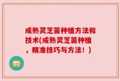 成熟灵芝苗种植方法和技术(成熟灵芝苗种植，精准技巧与方法！)