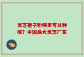 灵芝孢子粉哪里可以种植？中国最大灵芝厂家
