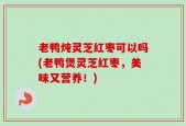 老鸭炖灵芝红枣可以吗(老鸭煲灵芝红枣，美味又营养！)