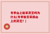 冬季山上能采灵芝吗为什么(冬季能否采摘山上的灵芝？)