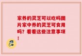 家养的灵芝可以吃吗图片家中养的灵芝可食用吗？看看这些注意事项！