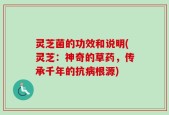 灵芝菌的功效和说明(灵芝：神奇的草药，传承千年的抗病根源)