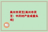 吴川市灵芝(吴川市灵芝：中药材产业成重头戏)