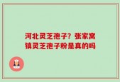 河北灵芝孢子？张家窝镇灵芝孢子粉是真的吗