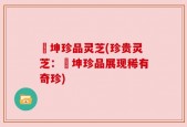 喆坤珍品灵芝(珍贵灵芝：喆坤珍品展现稀有奇珍)