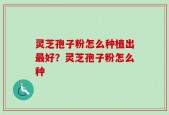 灵芝孢子粉怎么种植出最好？灵芝孢子粉怎么种