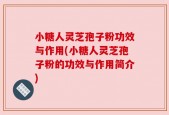 小糖人灵芝孢子粉功效与作用(小糖人灵芝孢子粉的功效与作用简介)