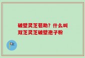破壁灵芝苞助？什么叫双芝灵芝破壁孢子粉