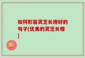 如何形容灵芝长得好的句子(优美的灵芝长相)