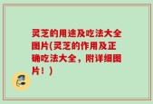 灵芝的用途及吃法大全图片(灵芝的作用及正确吃法大全，附详细图片！)