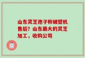 山东灵芝孢子粉破壁机售后？山东最大的灵芝加工，收购公司