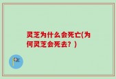 灵芝为什么会死亡(为何灵芝会死去？)